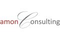 amon consulting