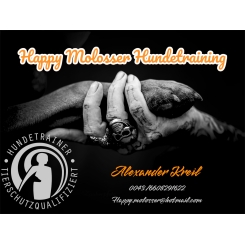 Happy Molosser Hundetraining